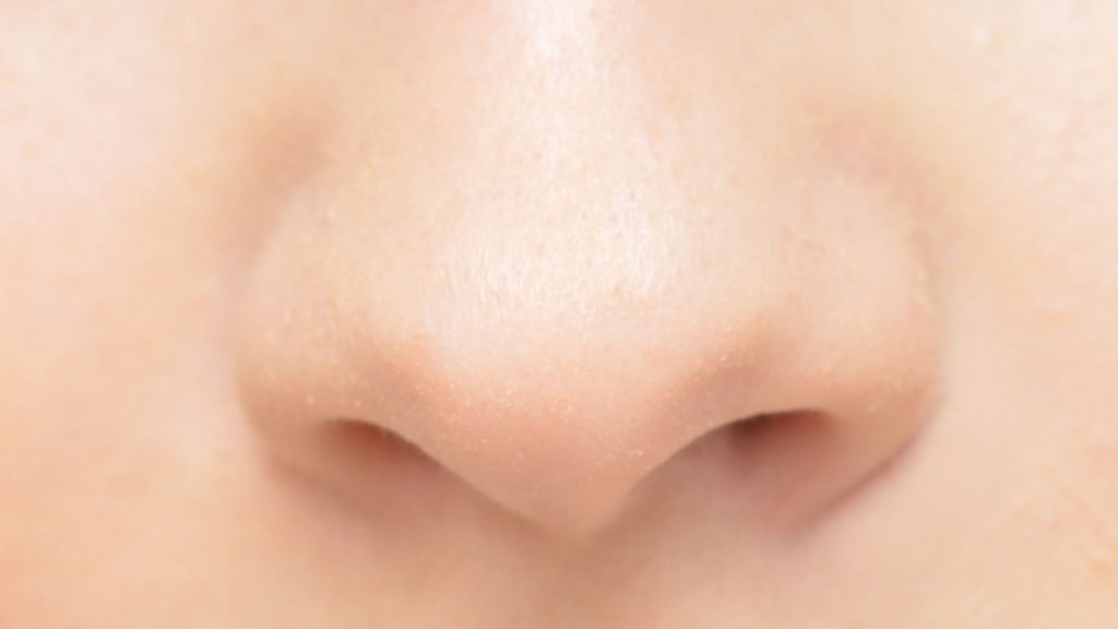 a nose image smelling something